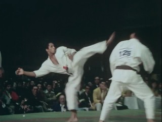 strongest karate (masutatsu oyama)