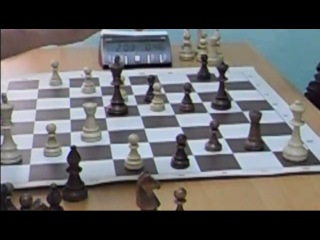 championship of vologda in active chess 2013