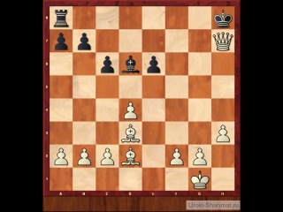 chess lessons via skype at distance-teacher ru/